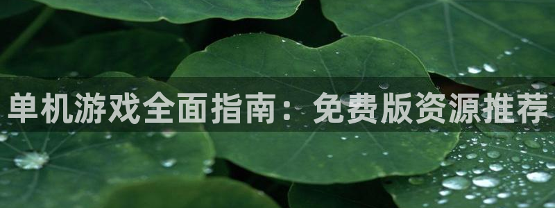 杏耀测速注册：单机游戏全面指南：免费版资源推荐