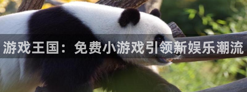 杏耀是什么平台