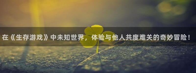 杏耀代理主管qq