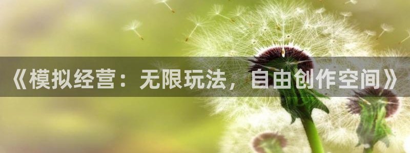 杏耀平台官网登录全新版：《模拟经营：无限玩法，自由创作空间》