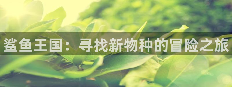 杏耀平台网页版：鲨鱼王国：寻找新物种的冒险之旅