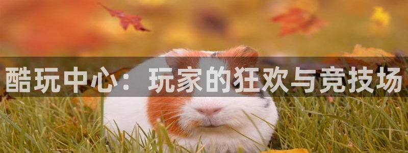 杏耀线路测速地址spp