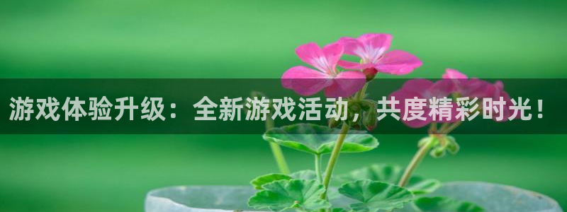 杏耀测速登录网