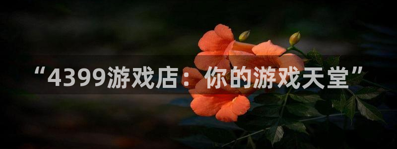 杏耀代理公司官网：“4399游戏店：你的游戏天堂”