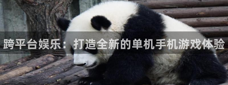 杏耀平台登录地址