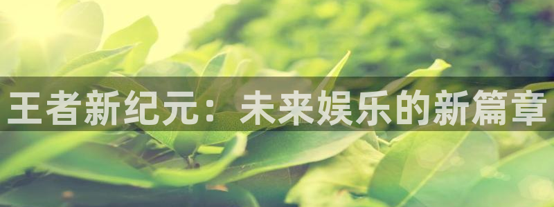 杏耀客户端登陆不进去