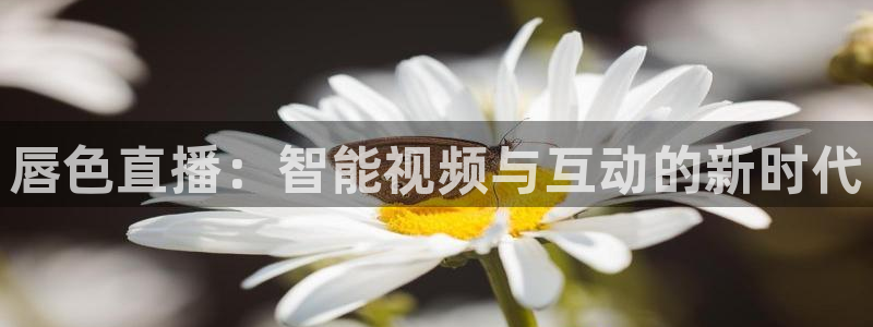 黑白直播间：唇色直播：智能视频与互动的新时代