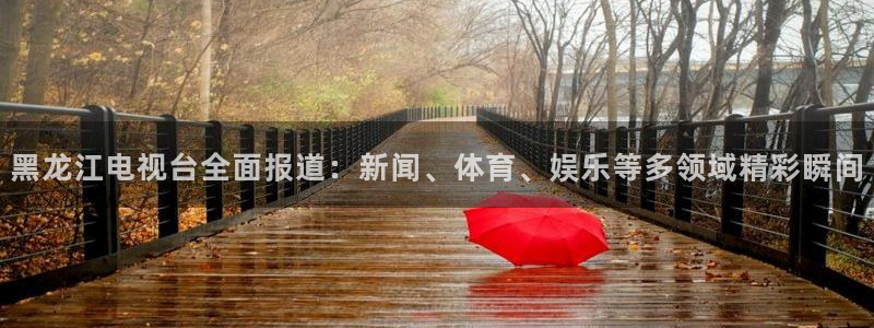 nba黑白直播在线观看免费：黑龙江电视台全面报道：新闻、体育、娱乐等多领域精彩瞬间