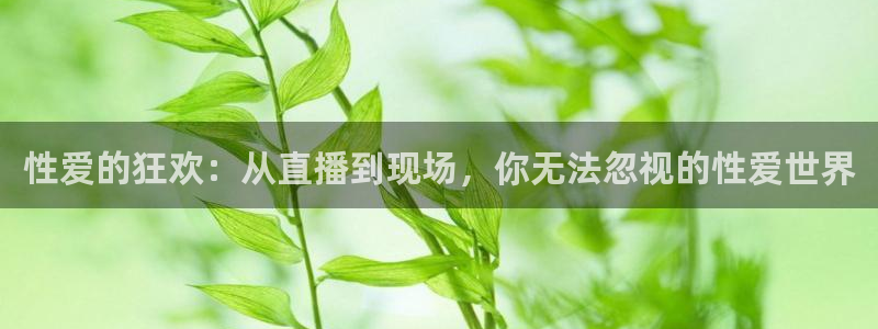 黑白足球直播：性爱的狂欢：从直播到现场，你无法忽视的性爱世界