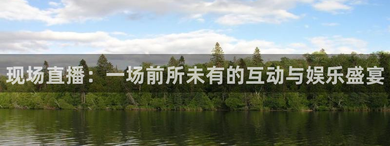 黑白体育在线直播免费观看高清：现场直播：一场前所未有的互动与娱乐盛宴