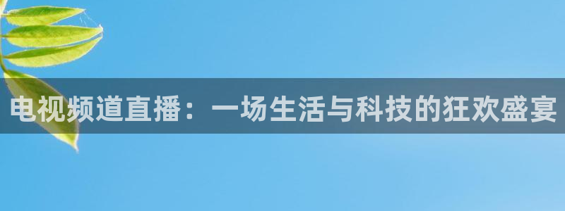 nba黑白在线直播：电视频道直播：一场生活与科技的狂欢盛宴