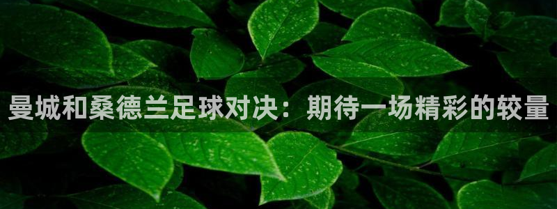 黑白篮球直播免费观看：曼城和桑德兰足球对决：期待一场精彩的较量