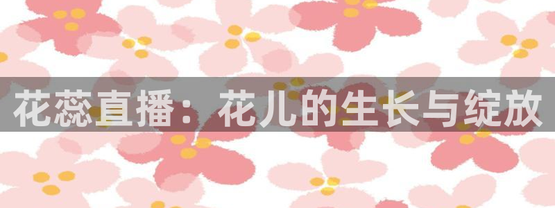 黑白直播nba直播免费观看：花蕊直播：花儿的生长与绽放