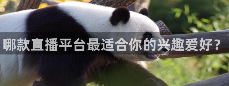 nba篮球黑白直播：哪款直播平台最适合你的兴趣爱好？