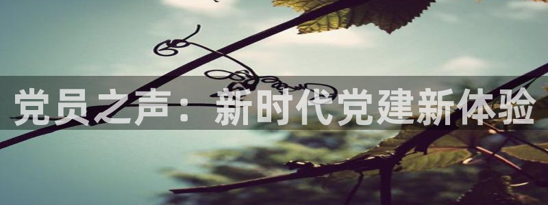 nba直播在线观看免费黑白体育：党员之声：新时代党建新体验