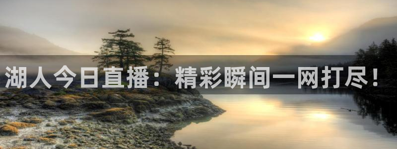 黑白体育在线直播免费下载：湖人今日直播：精彩瞬间一网打尽！